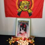 இத்தாலி போலோனியாவில் உணர்வெழுச்சியுடன் நினைவு கூரப்பட்ட தமிழின அழிப்பு நினைவு நாள் 2025